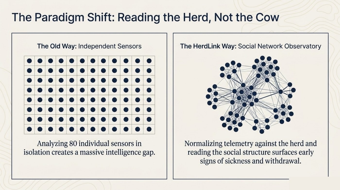 Reading the herd, not the cow