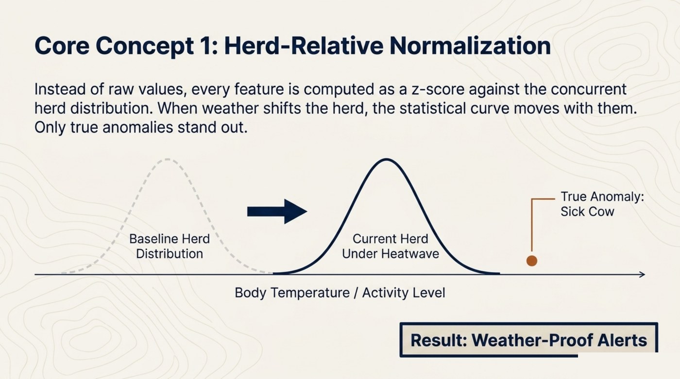 Herd-relative normalization via z-scores against the concurrent herd