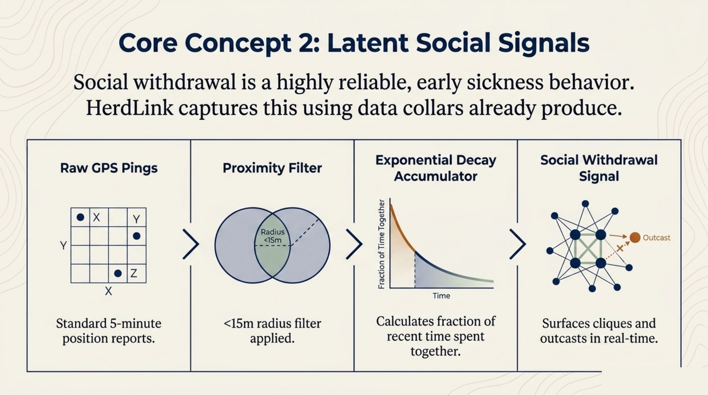 From raw GPS pings to a social-withdrawal signal